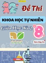 Tuyển tập 12 Đề thi giữa Kì 2 môn KHTN 8 sách Kết Nối Tri Thức (Kèm đáp án)